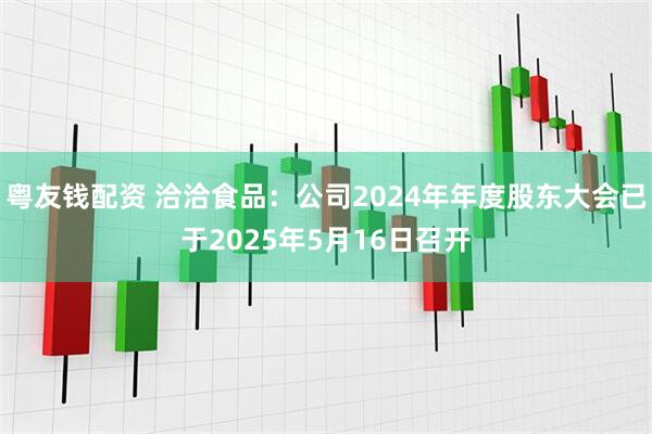 粤友钱配资 洽洽食品：公司2024年年度股东大会已于2025年5月16日召开