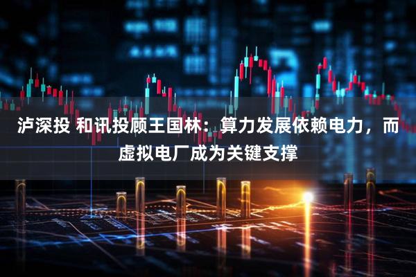 泸深投 和讯投顾王国林：算力发展依赖电力，而虚拟电厂成为关键支撑