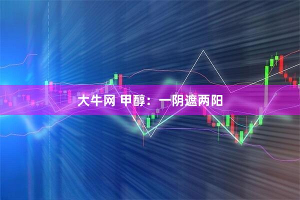 大牛网 甲醇：一阴遮两阳