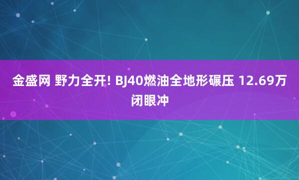金盛网 野力全开! BJ40燃油全地形碾压 12.69万闭眼冲