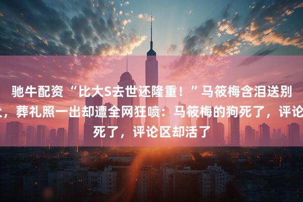 驰牛配资 “比大S去世还隆重！”马筱梅含泪送别14年爱犬，葬礼照一出却遭全网狂喷：马筱梅的狗死了，评论区却活了